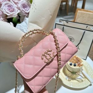 New Arrival Bag C3828