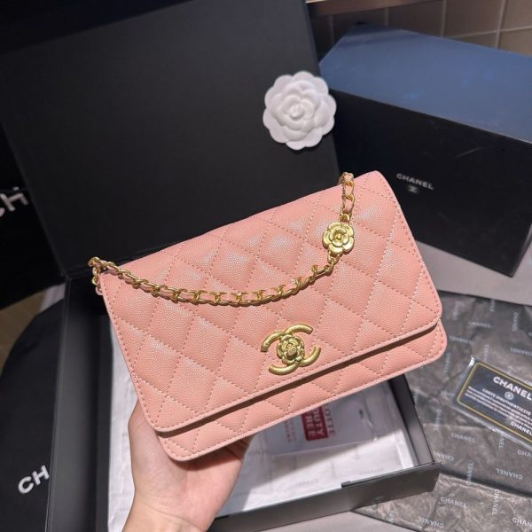 New Arrival CN Handbag C434