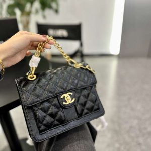 New Arrival CN Handbag C217