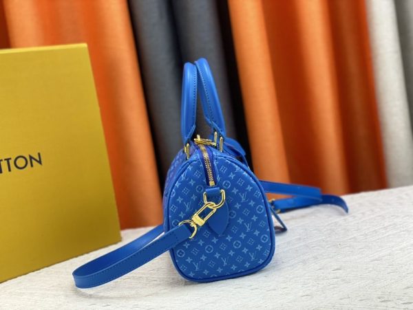 Luxury LV Handbag M22595