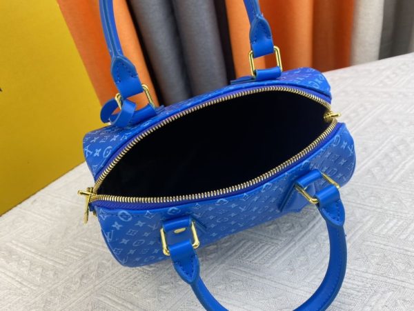 Luxury LV Handbag M22595